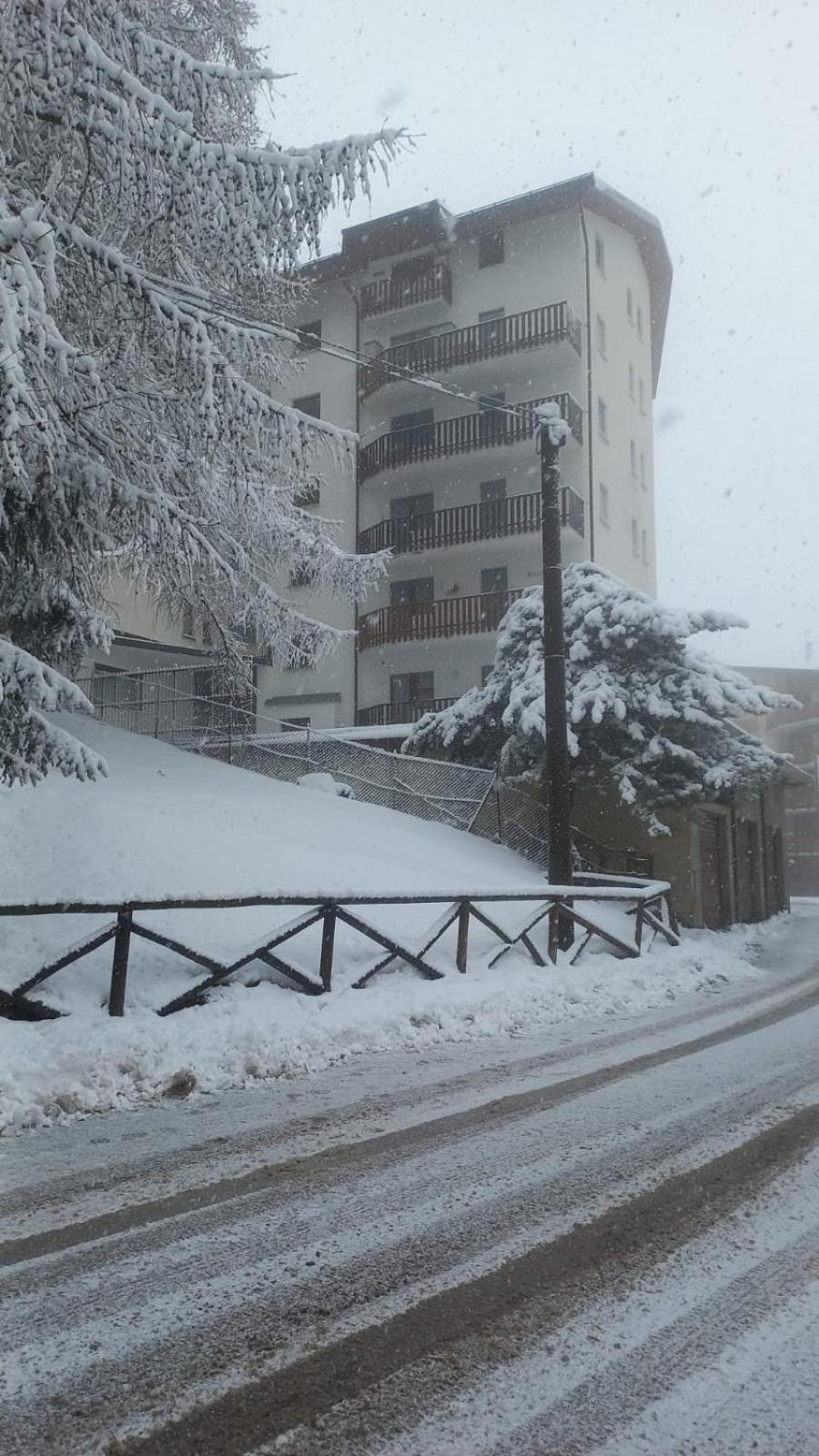 Sauze Guesthouse Apartment Oulx Екстериор снимка